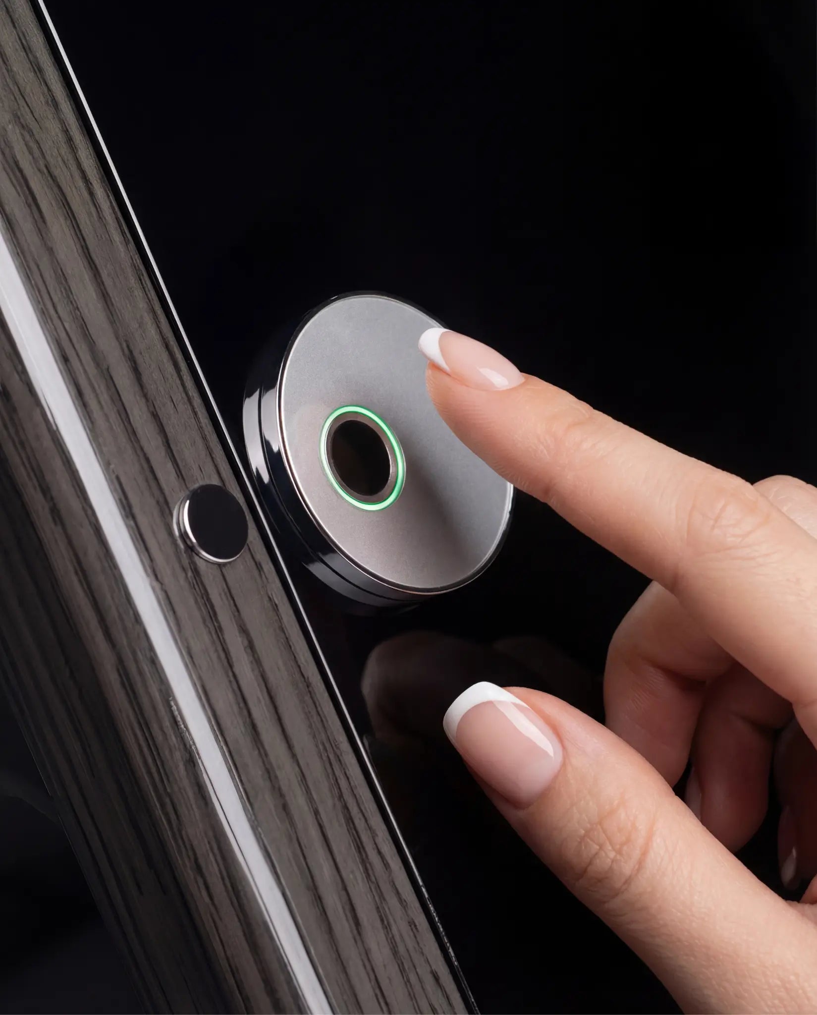 Diplomat – Ormarić za automatsko navijanje 24 sata